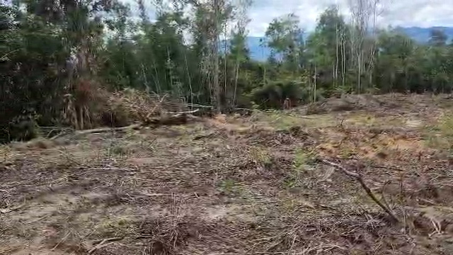 Area 1_Land Clearing_Day 23