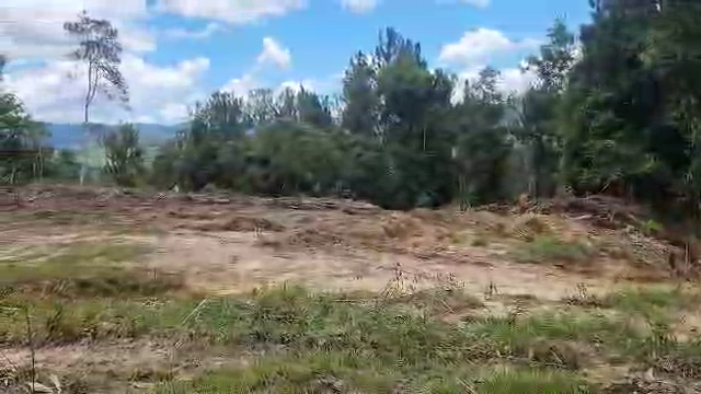 Area 3_Land Clearing_Day 28